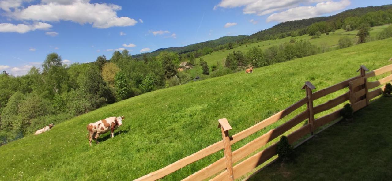 Goralskie Domki Na Podhalu - Z Jacuzzi Maniowy Exteriér fotografie